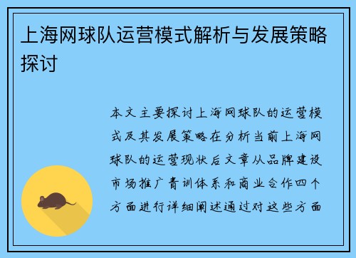 上海网球队运营模式解析与发展策略探讨